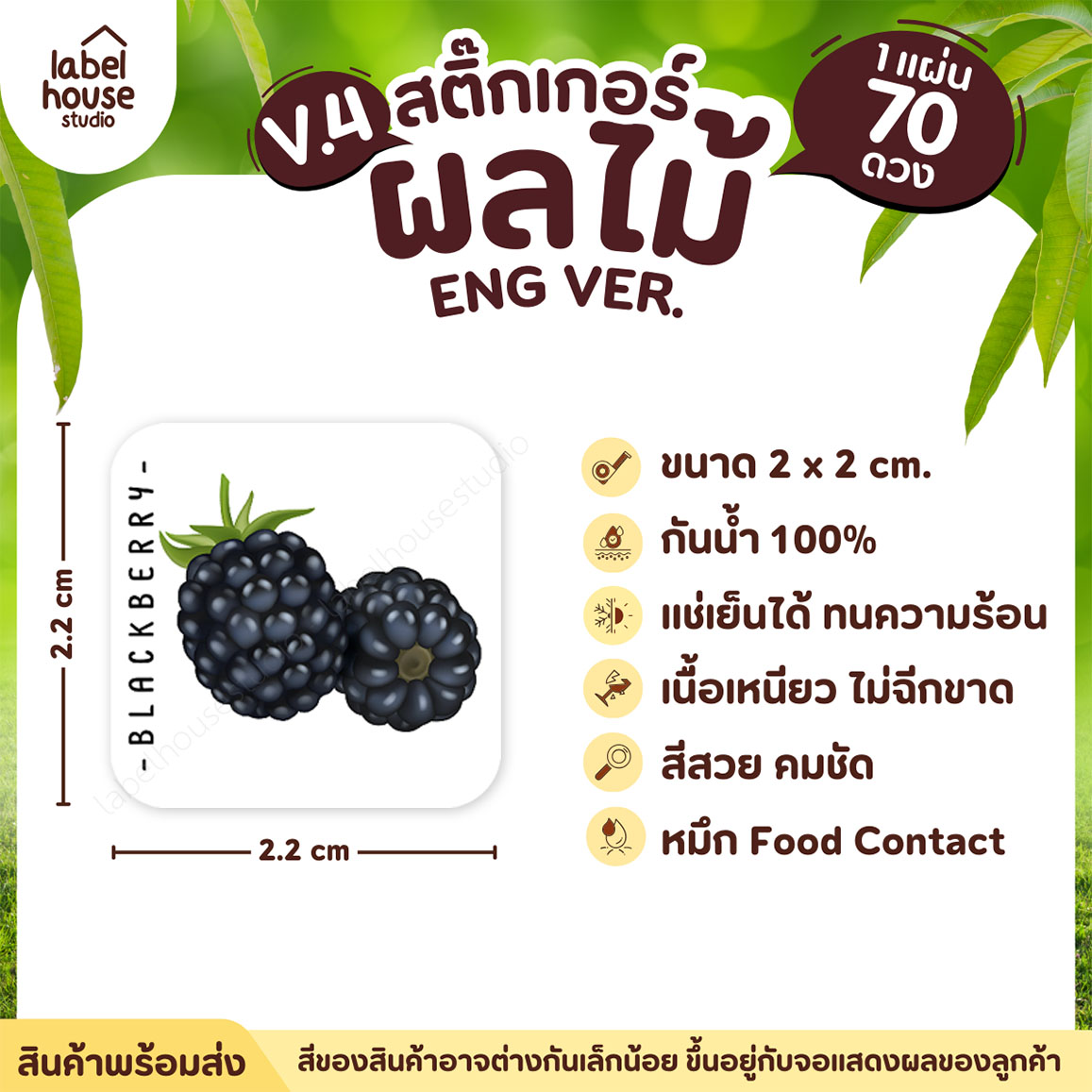 สติ๊กเกอร์ ผลไม้ ไส้ขนม สติ้กเกอร์ รสชาติผลไม้ สไตล์มินิมอล ภาษาอังกฤษ กันน้ำ 2 x 2 ซม. (70 ดวง/แผ่น) สติกเกอร์ แบล็คเบอร์รี่