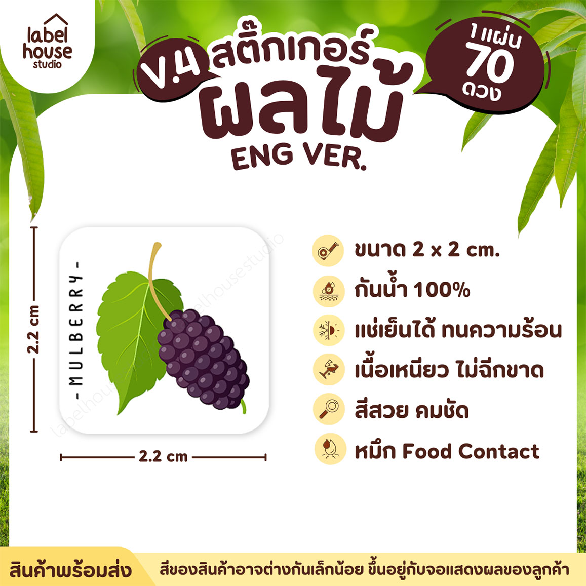 สติ๊กเกอร์ ผลไม้ ไส้ขนม สติ้กเกอร์ รสชาติผลไม้ สไตล์มินิมอล ภาษาอังกฤษ กันน้ำ 2 x 2 ซม. (70 ดวง/แผ่น) สติกเกอร์ มัลเบอร์รี่